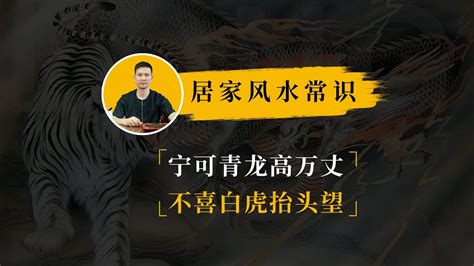 宁可青龙高万丈|俗语“宁让青龙高万丈，不让白虎抬头望”，这话是什么意思？